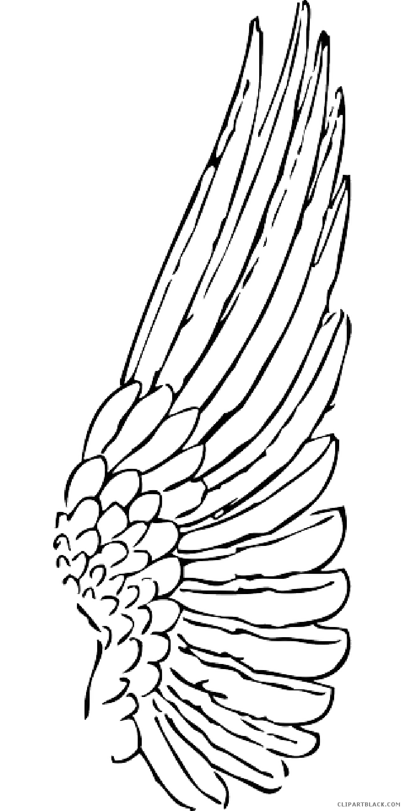 feathers clipart black and white