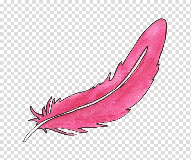feathers clipart animal