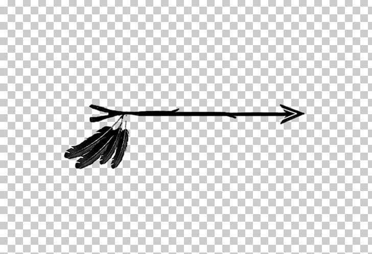 feathers clipart arrow