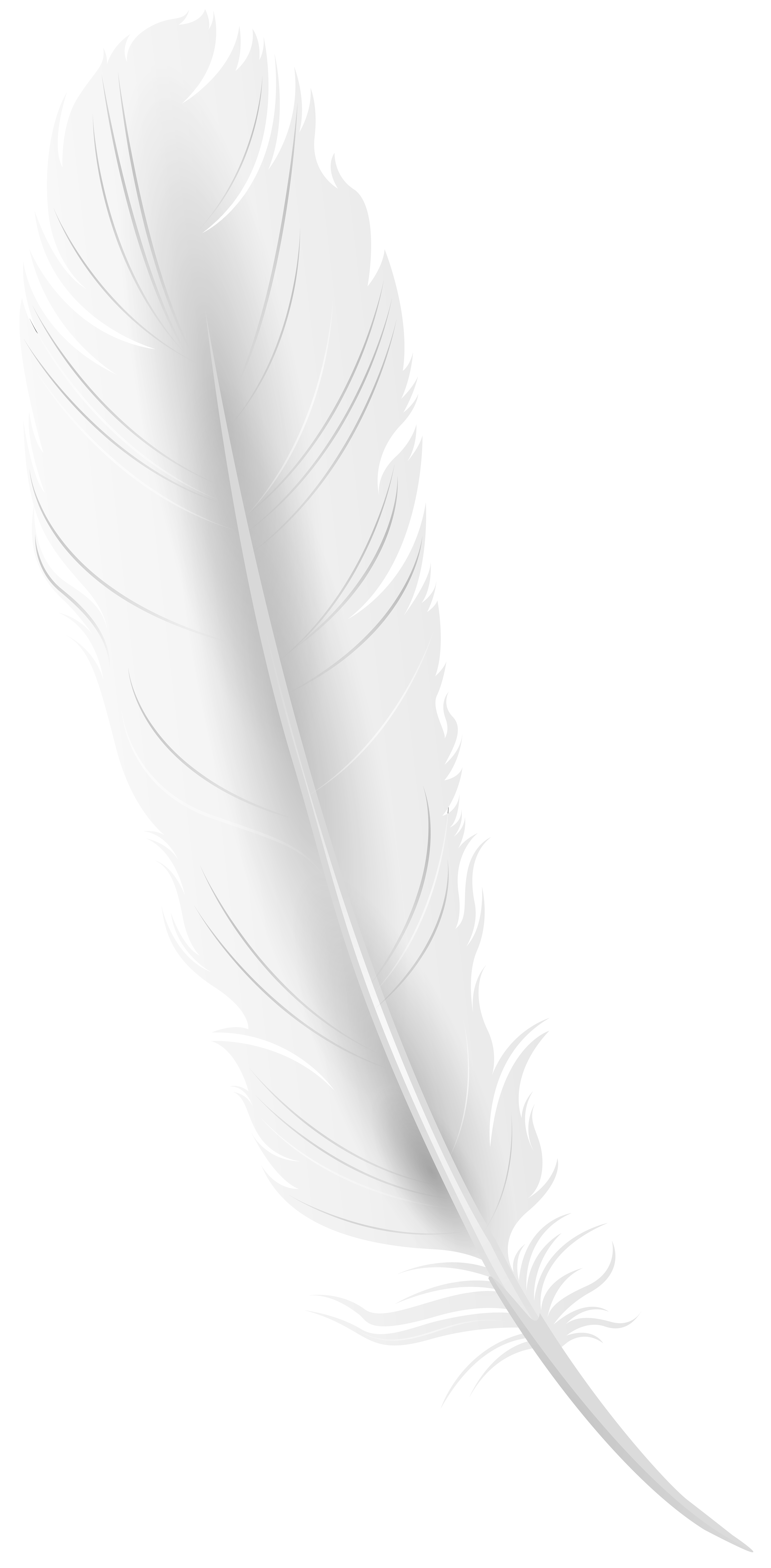 feathers clipart rose gold