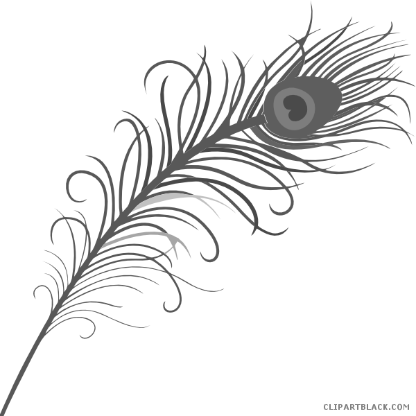 feathers clipart black and white