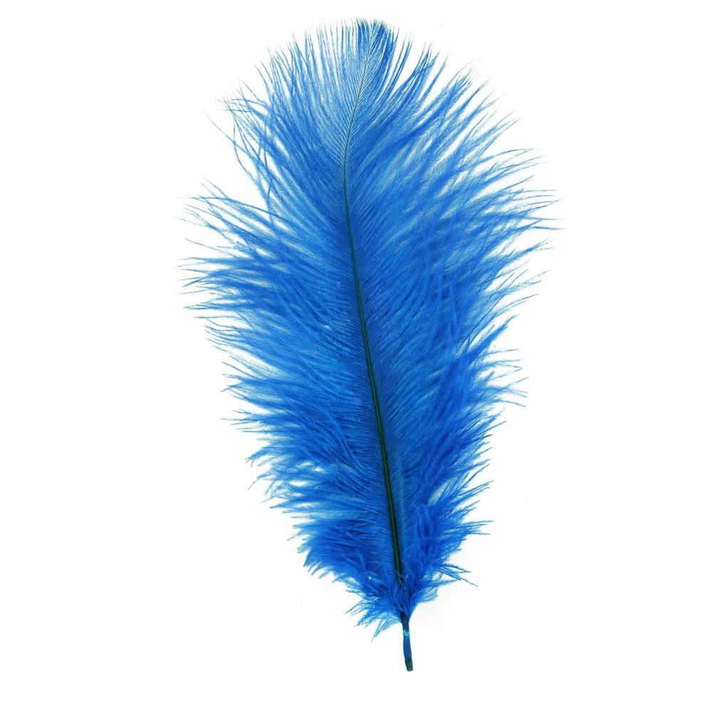 feather clipart blue feather