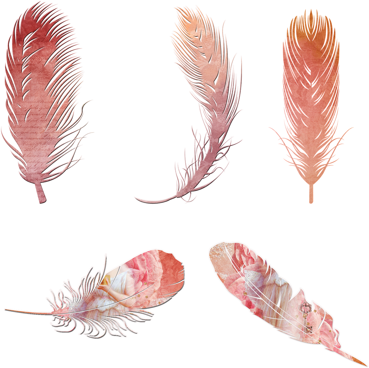 Download Feathers clipart boho, Feathers boho Transparent FREE for ...