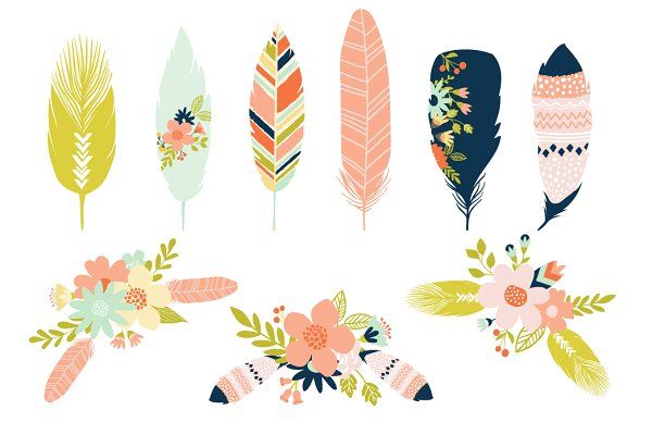 feather clipart bunch