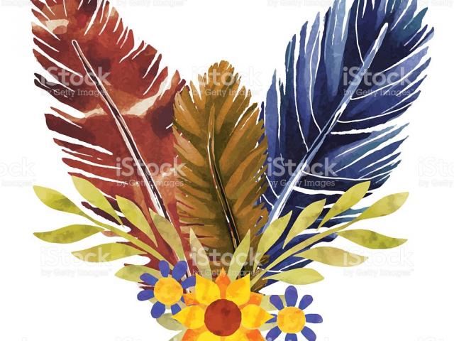 feather clipart bunch