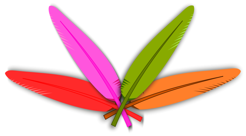feather clipart colored
