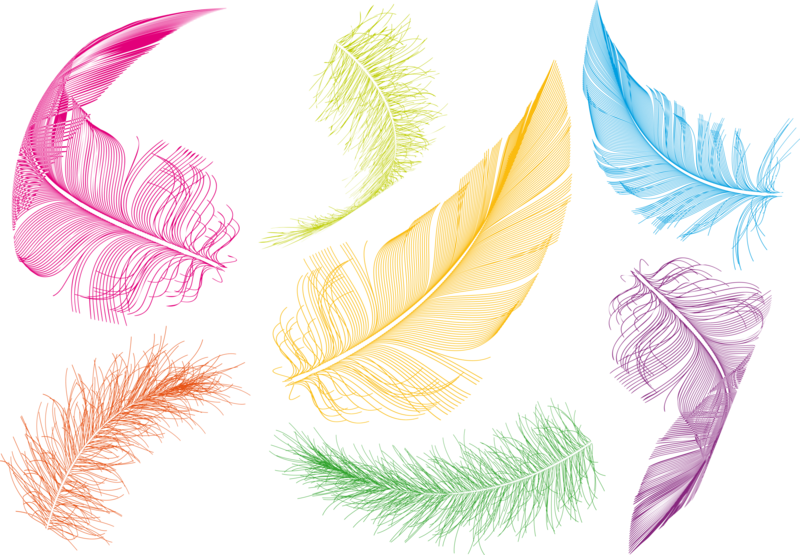Feather clipart colorful feather. Bird goose clip art
