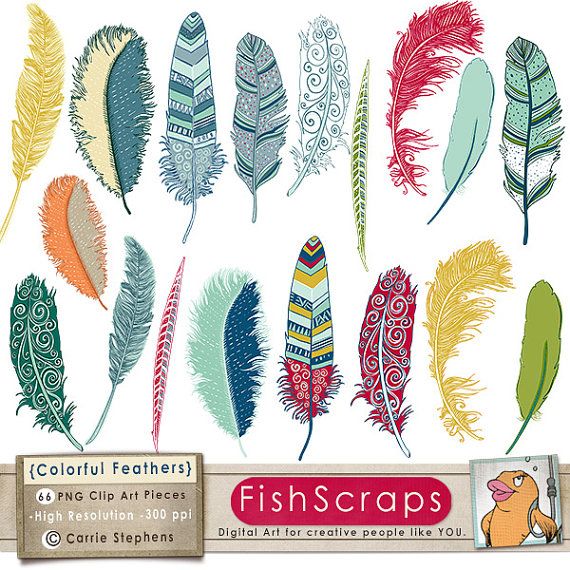 feathers clipart colourful feather