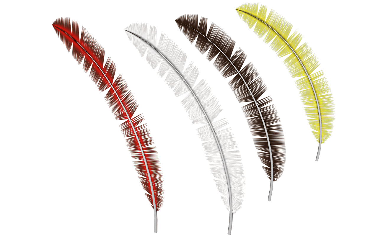 Feathers clipart curved. Collection transparent png stickpng