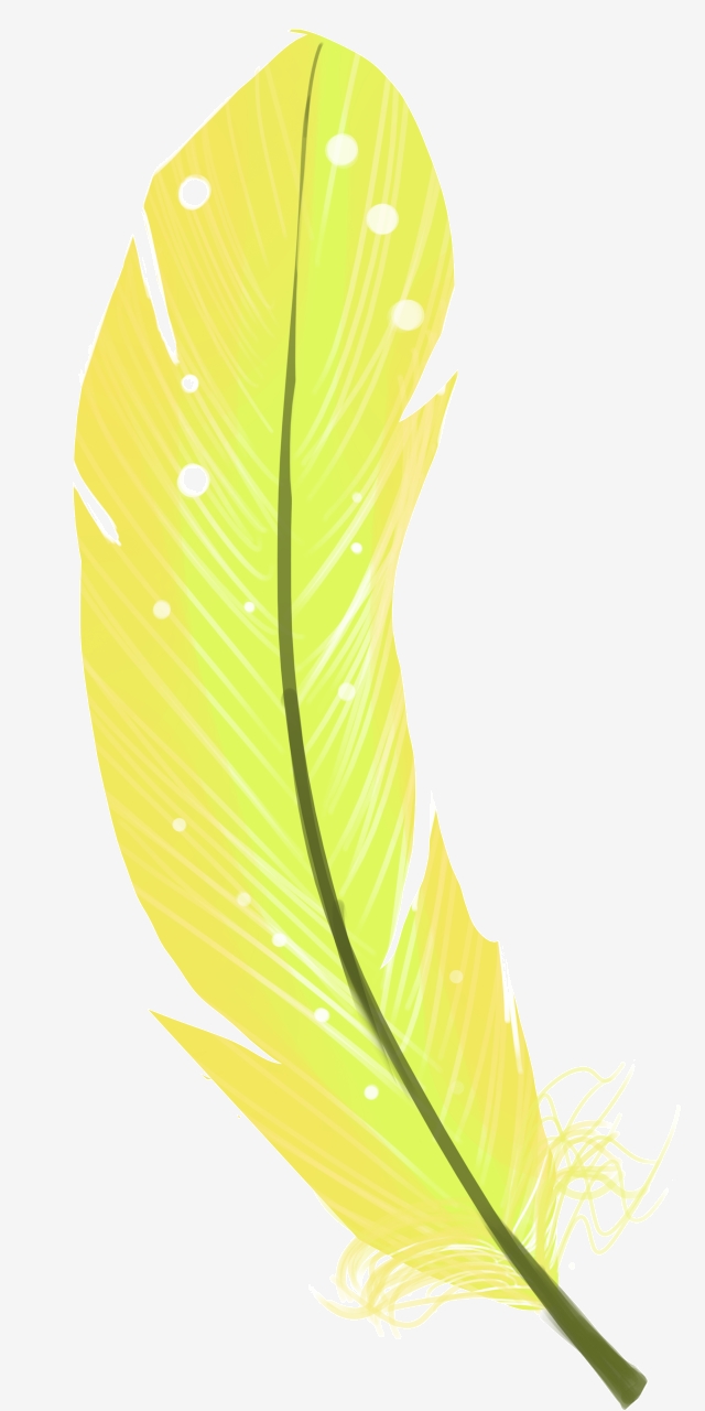 feather clipart curved