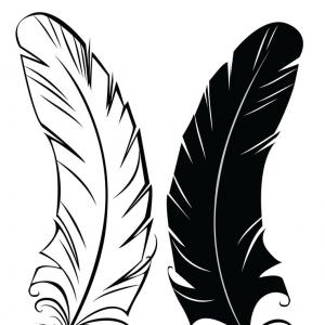 Feathers clipart curved. Feather drawing free download