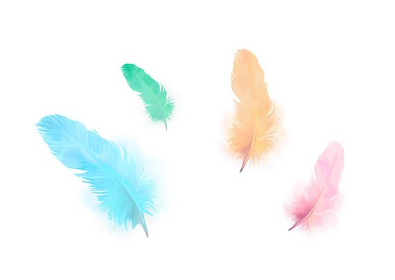 Pin on etsy sellers. Feathers clipart cute