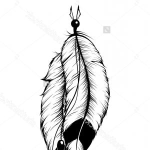 feather clipart eagle feather