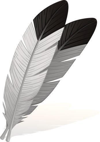 feathers clipart eagle feather