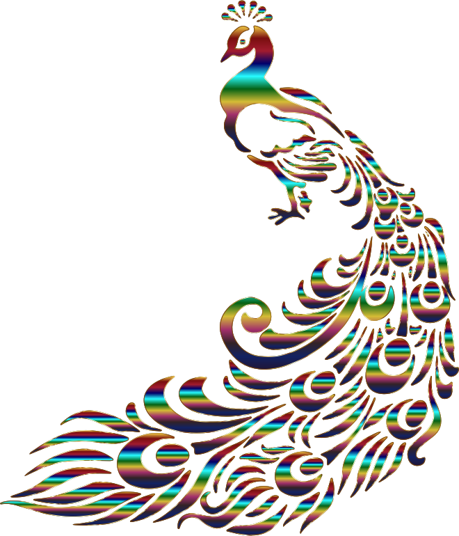 Feather clip . Peacock clipart line art