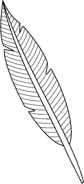 Feathers clipart simple. Free feather outline cliparts