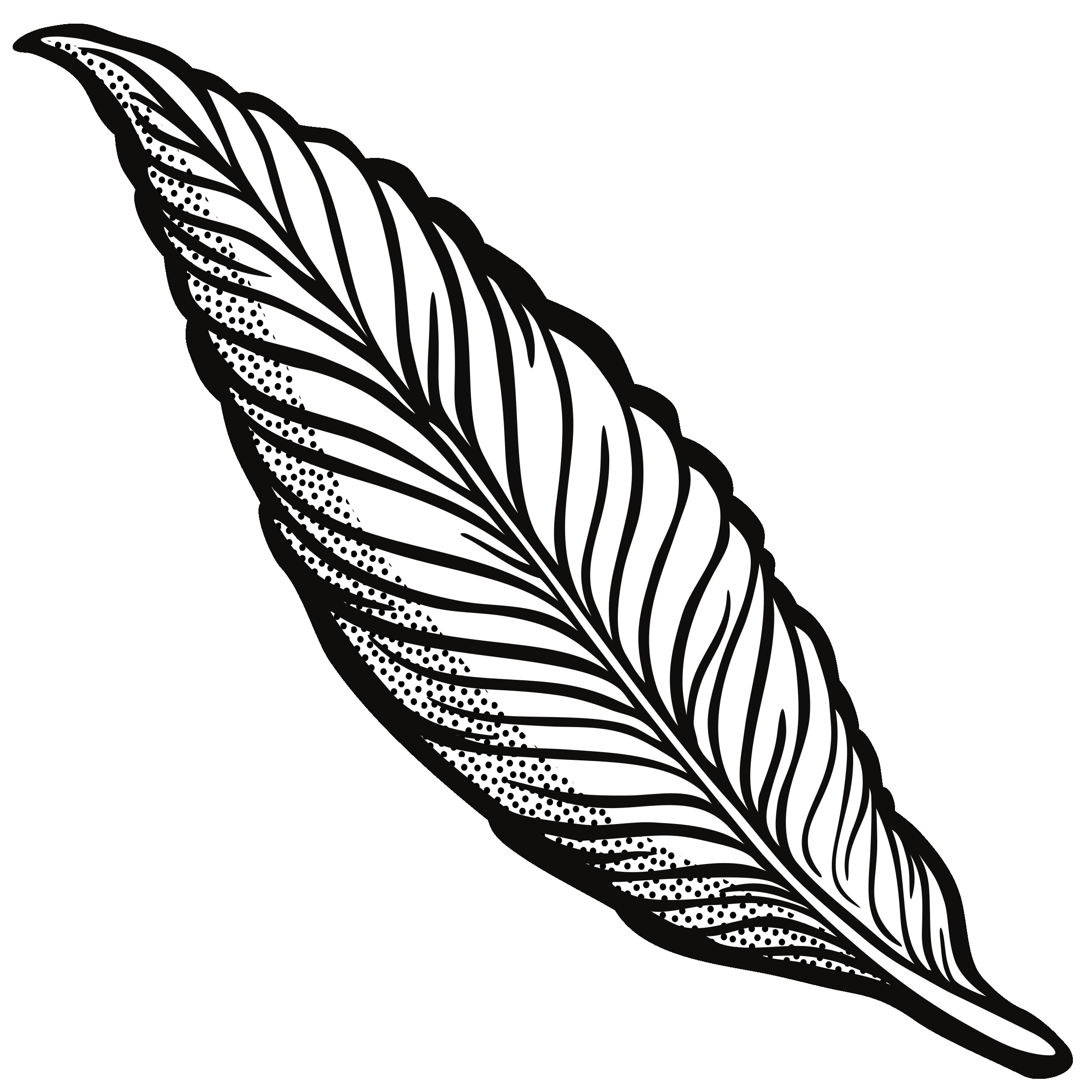 feather clipart easy