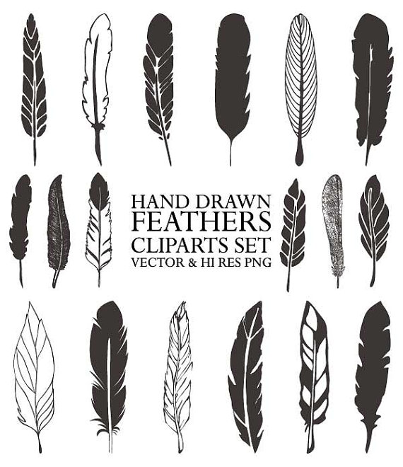 feather clipart feather drawing