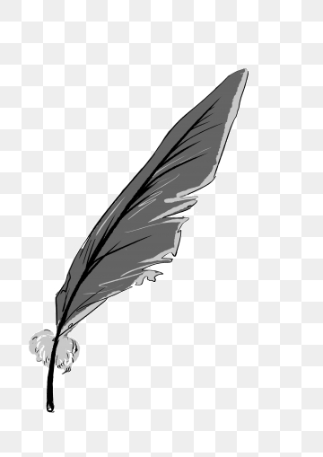 feather clipart gray
