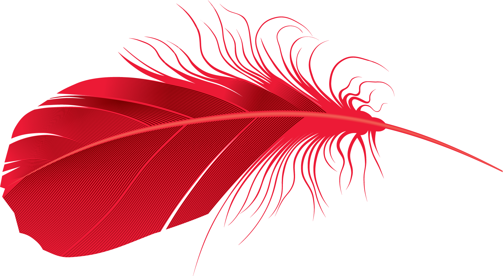 feathers clipart individual