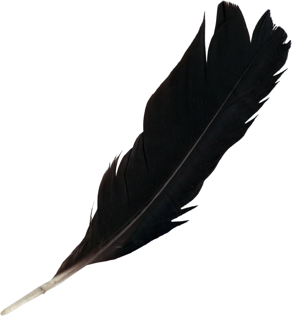 feather clipart lightweight