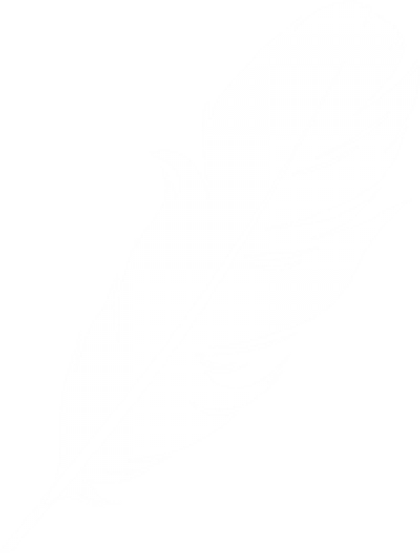 feather clipart logo