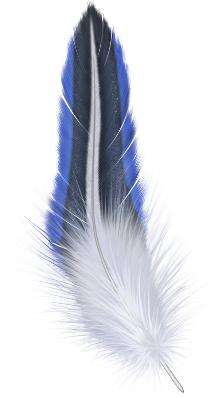 feather clipart mandala