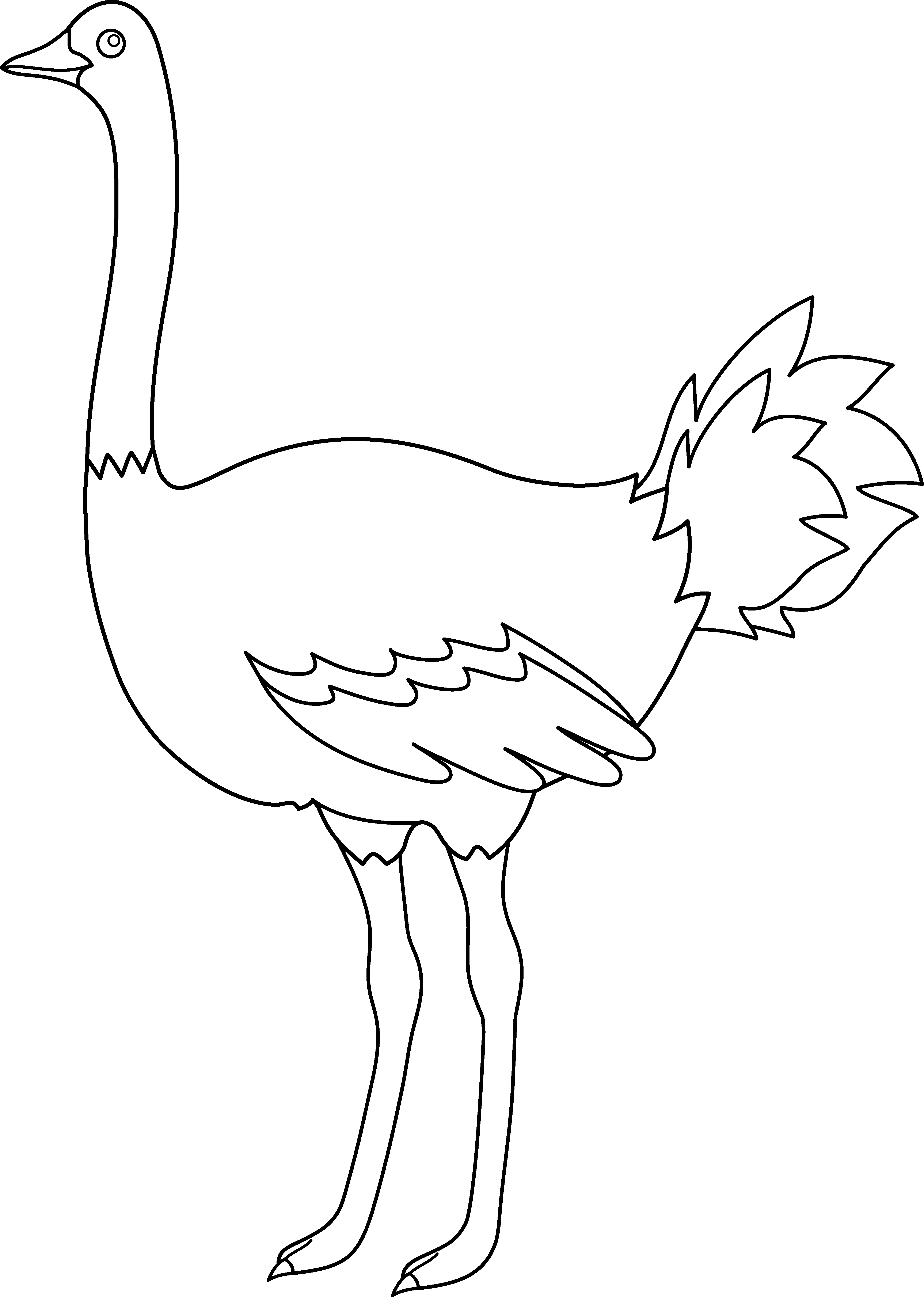 Ostrich clipart vector. Colorable design free clip
