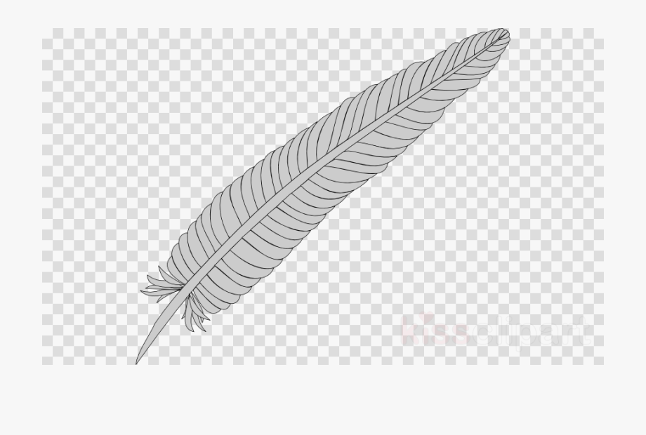 feathers clipart outline