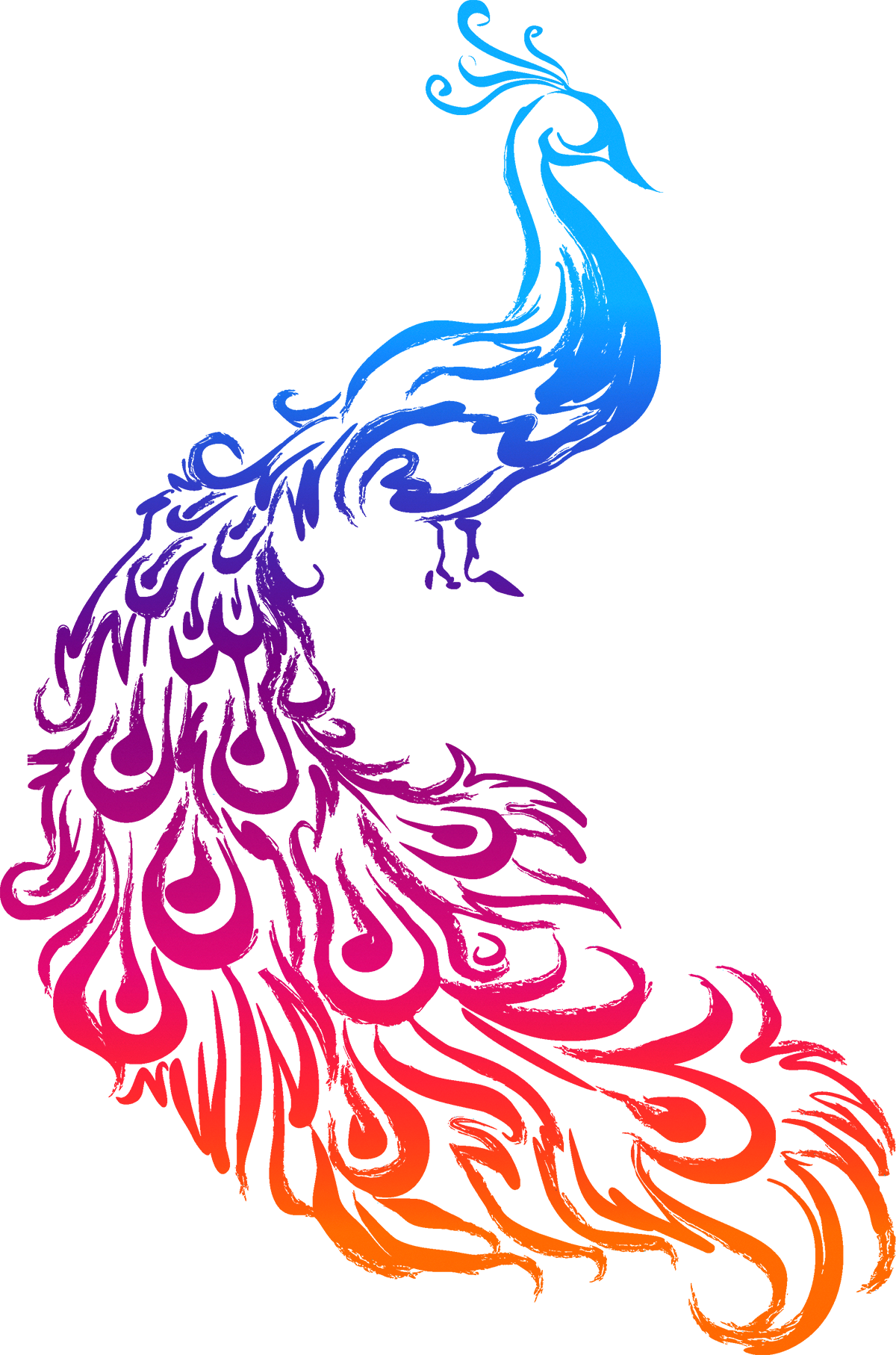 silhouette clipart peacock