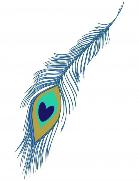 feather clipart peacock