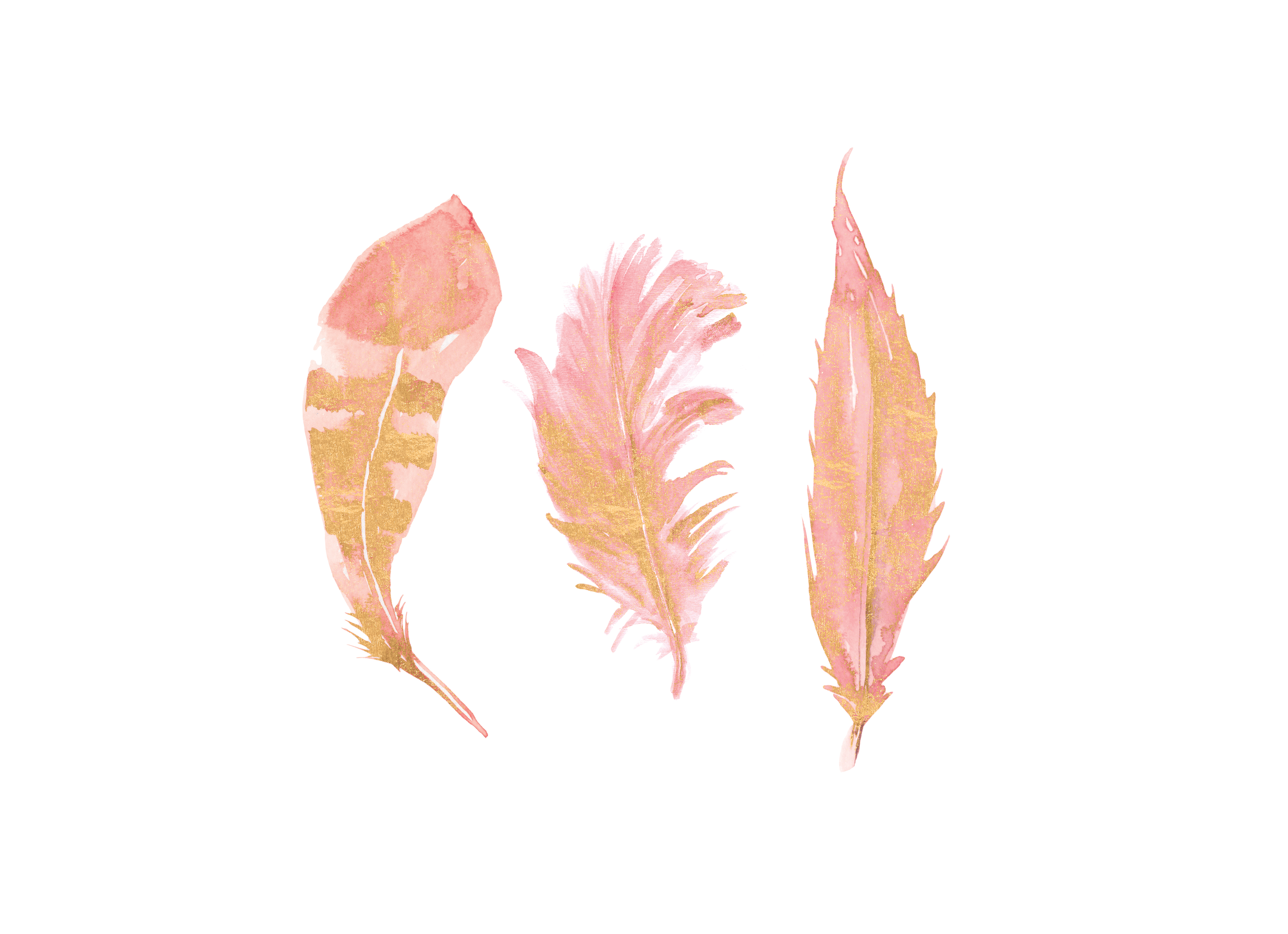 feather clipart rose gold