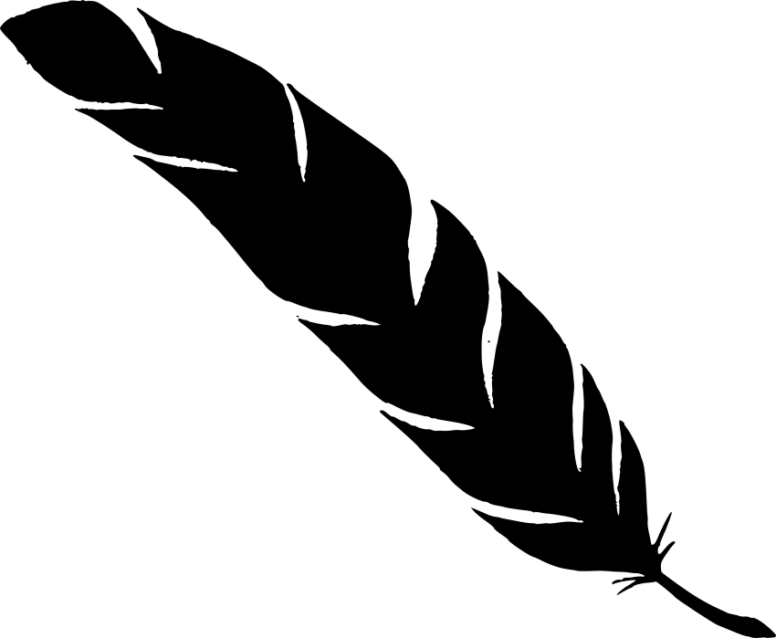 feather clipart simple