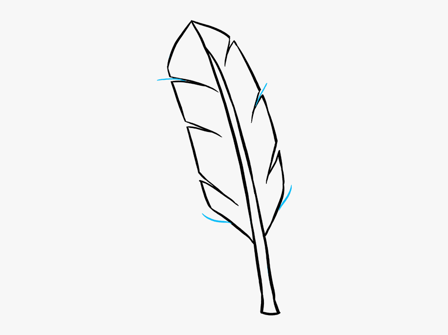 feathers clipart easy
