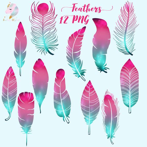 feather clipart teal