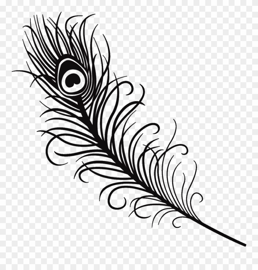 feather clipart vector