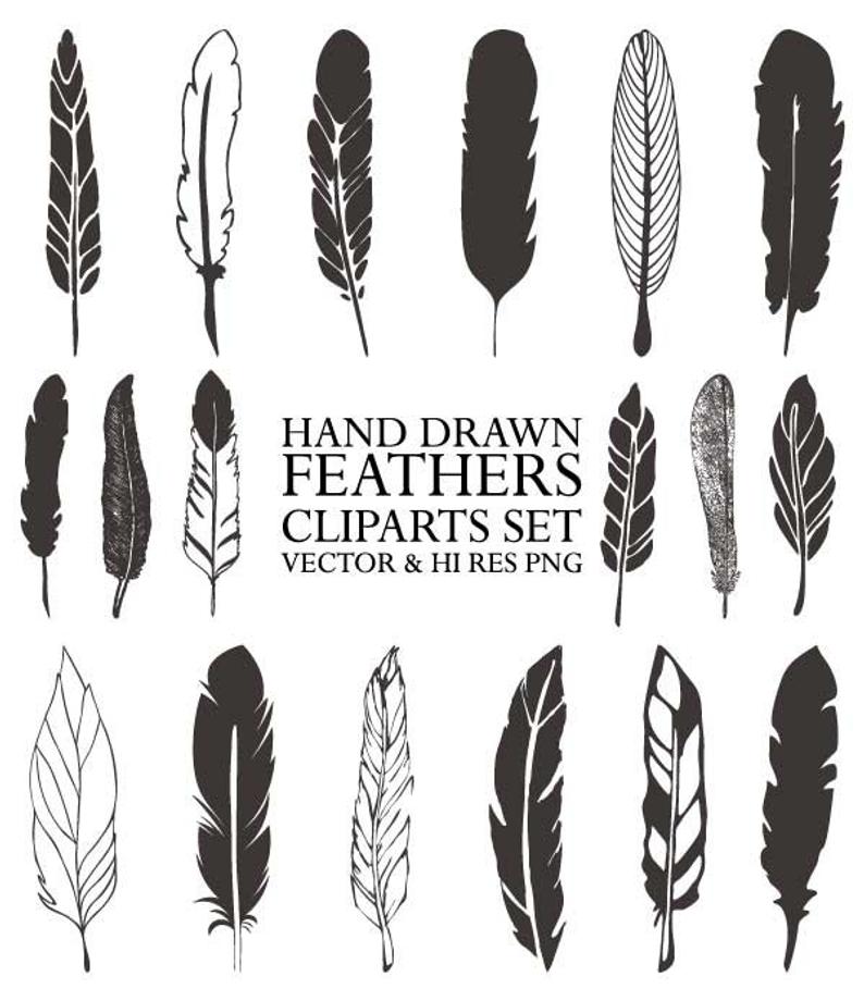 feather clipart vector