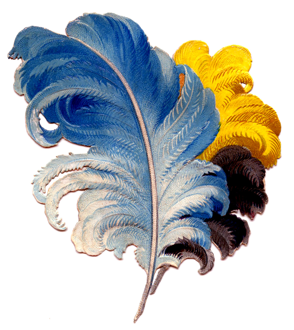 feather clipart victorian
