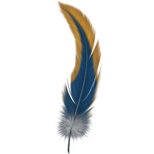 Feather vector png. Images free download