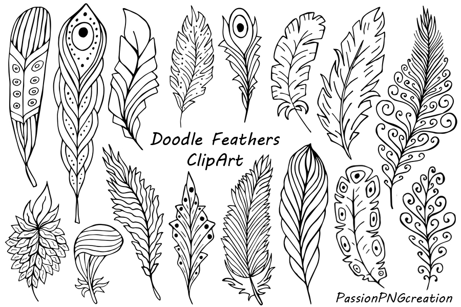 feathers clipart