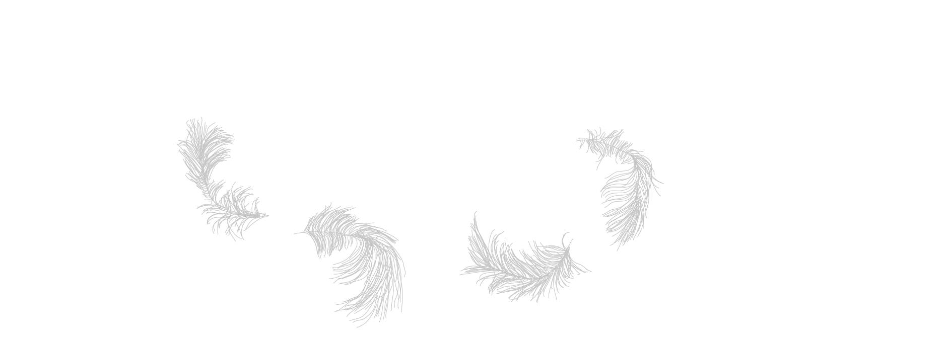 feathers clipart aboriginal