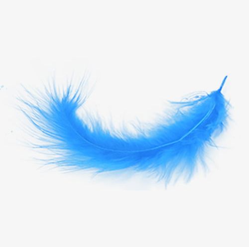 feathers clipart blue feather