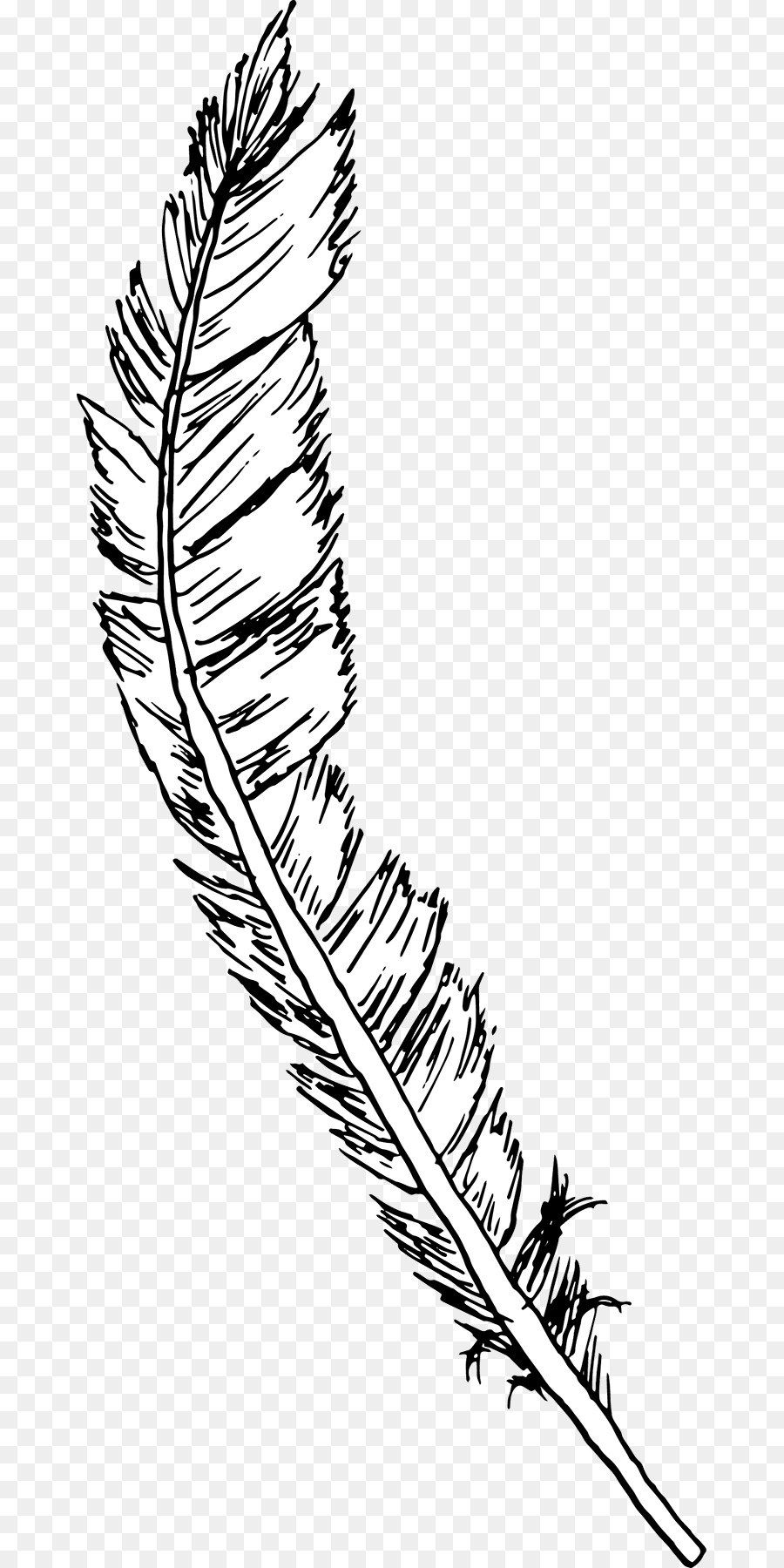 feathers clipart book