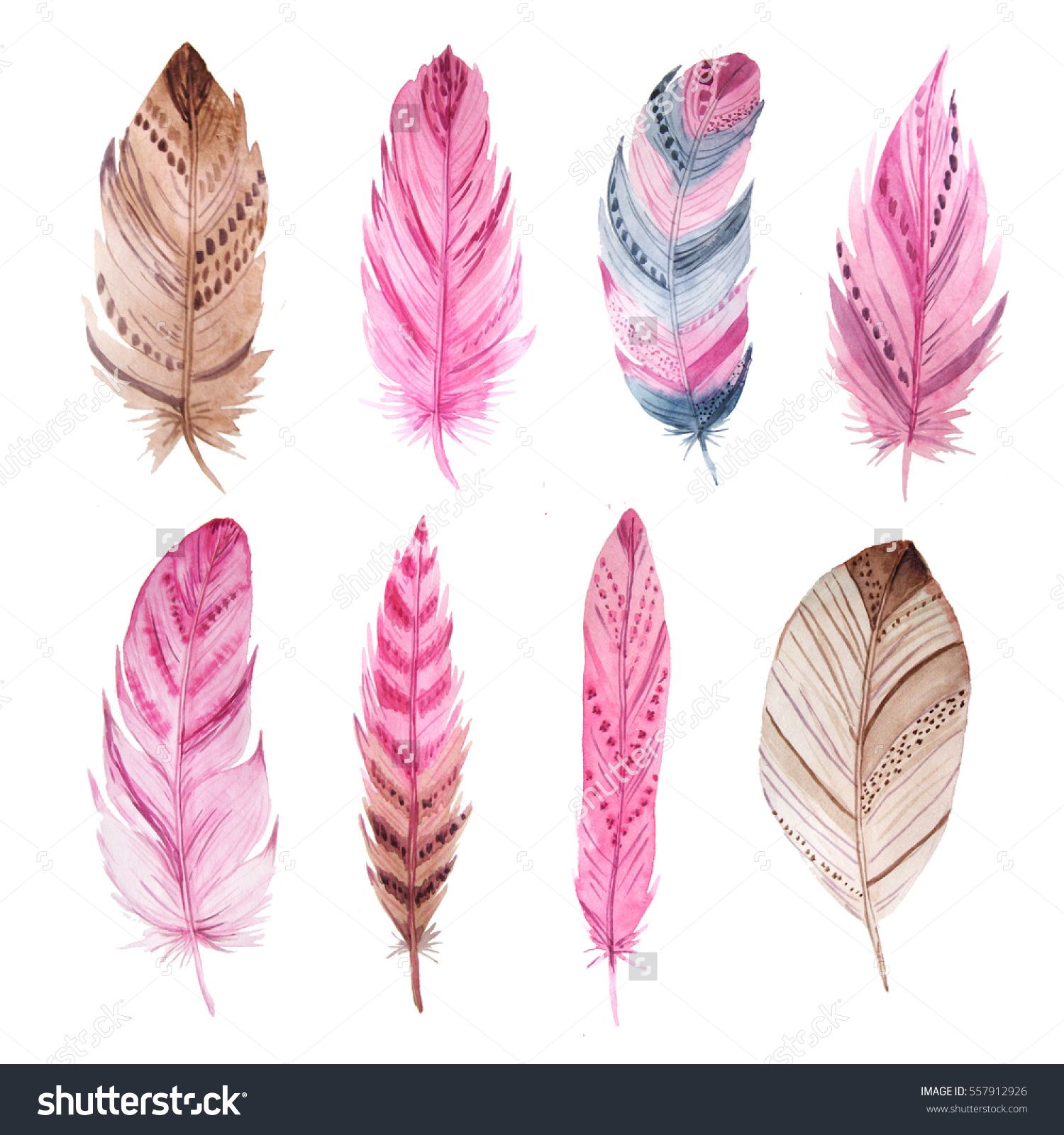 feathers clipart colorful feather