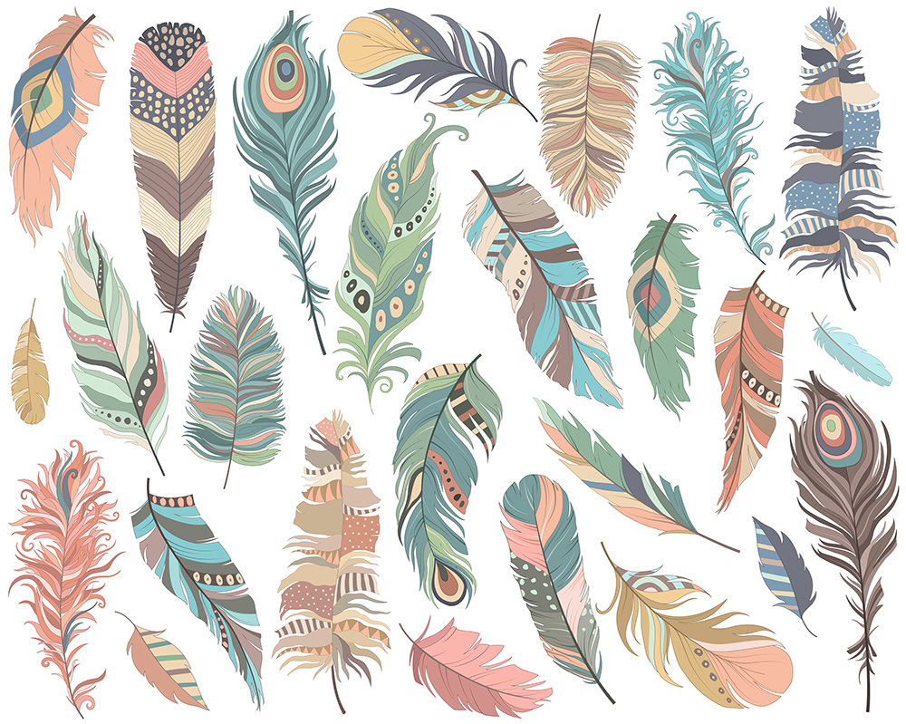 Feathers clipart cute. Free feather cliparts download