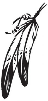 feathers clipart feather drawing