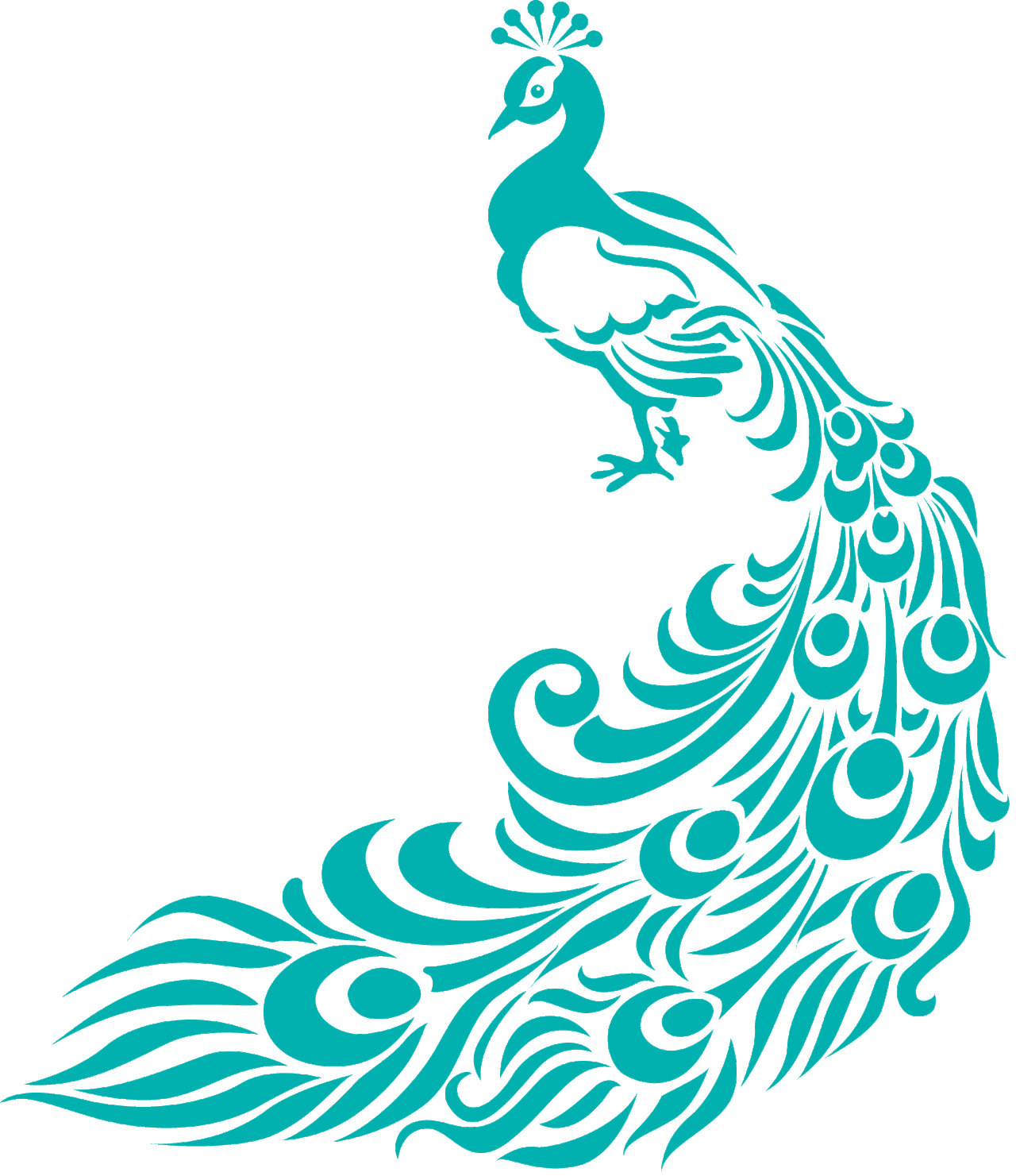 feathers clipart paisley peacock