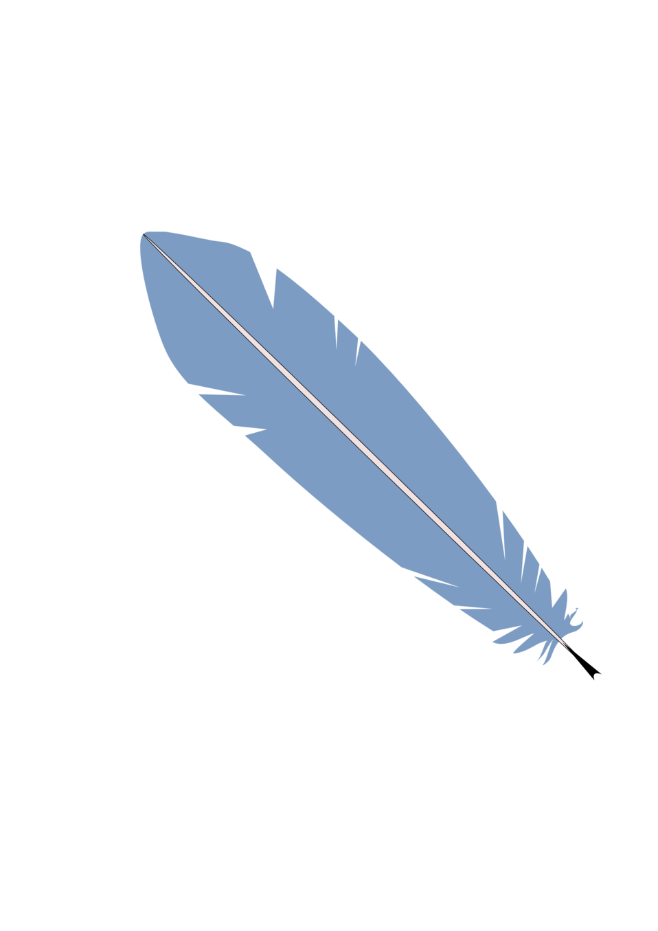 feathers clipart quill