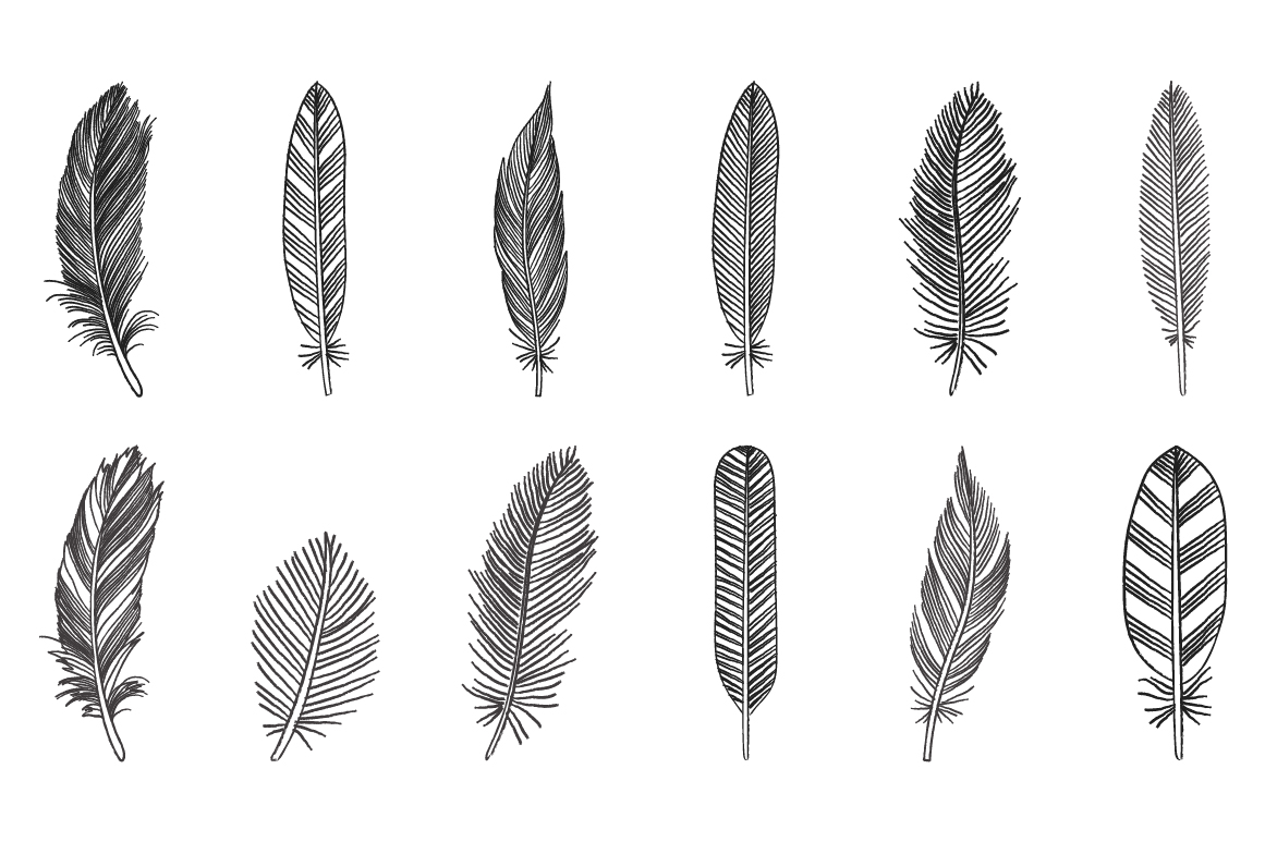 Feathers clipart rustic. Volume ai png and