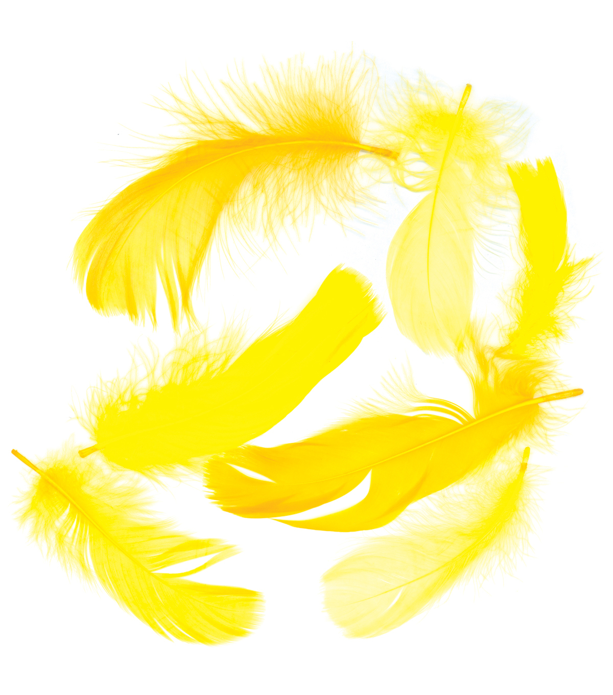 feathers clipart yellow feather